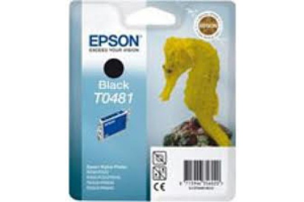 Epson Branded T0481 Black Ink Cartridge.