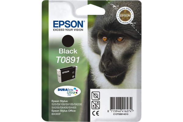 Epson Branded T0891 Black Ink Cartridge